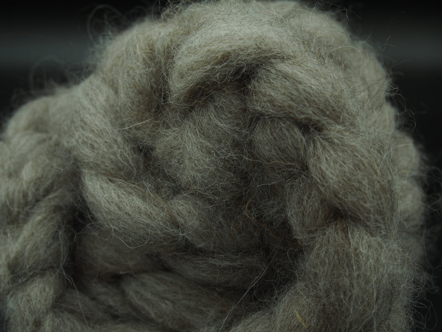 Gray Roving