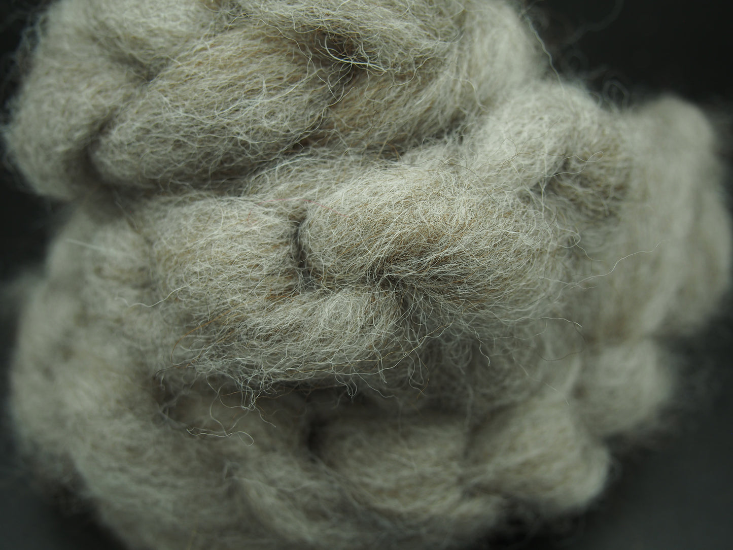 Gray Roving